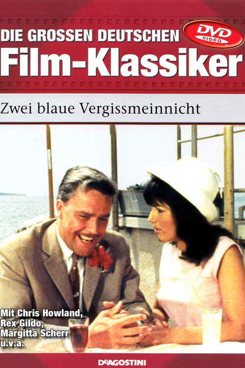 Zwei blaue Vergissmeinnicht