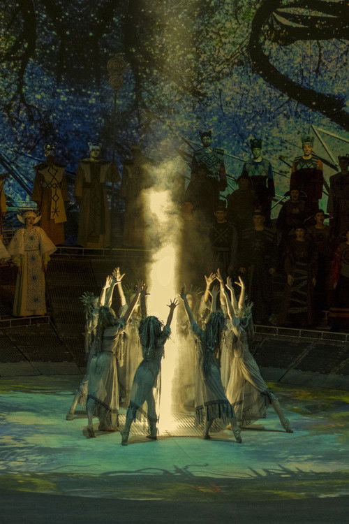 When the Fern Blooms