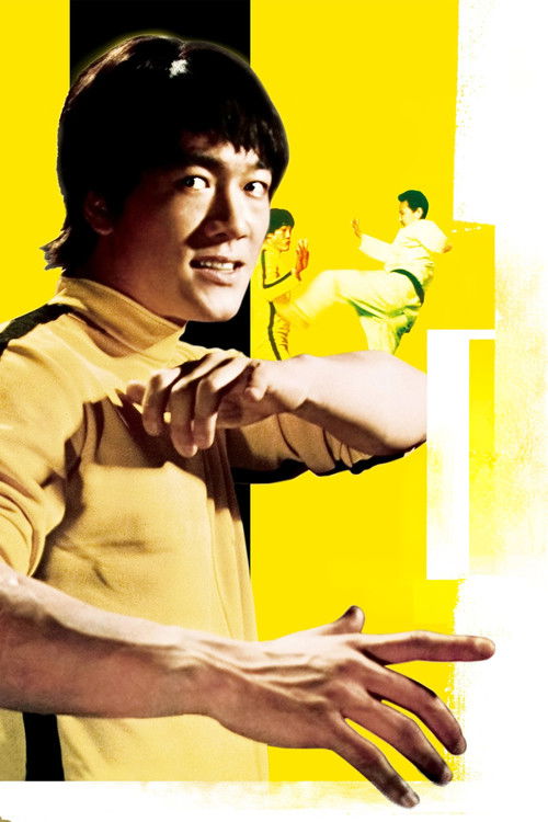 Goodbye Bruce Lee: His Last Game of Death