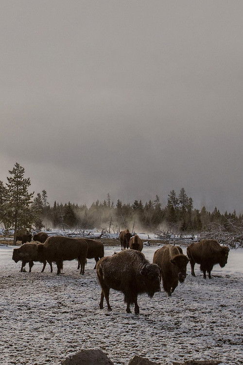 Nagy amerikai olvadás