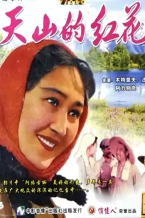 Safflower of Tianshan