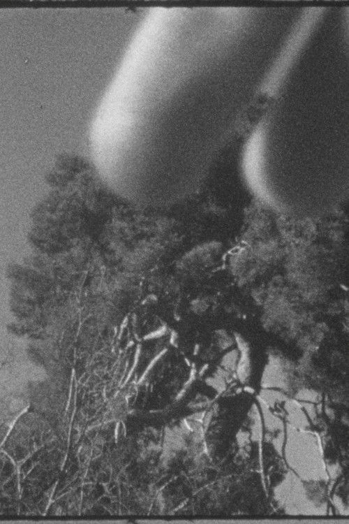 Un árbol y Cézanne o Cézanne y un árbol