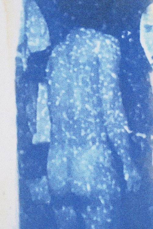 THE DREAM OF BRAKHAGE