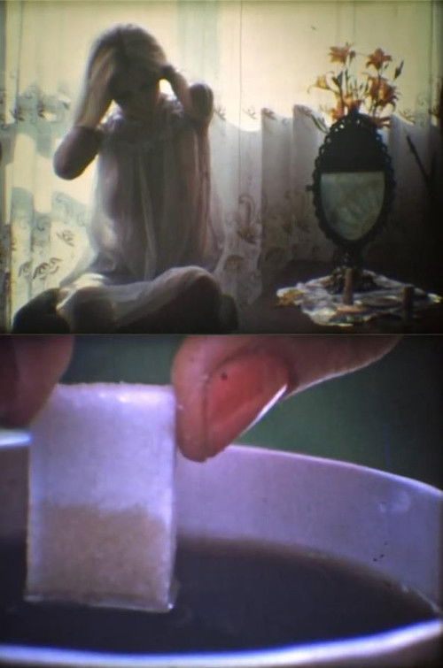 And There Was Morning... and There Was Night. Seventh Day