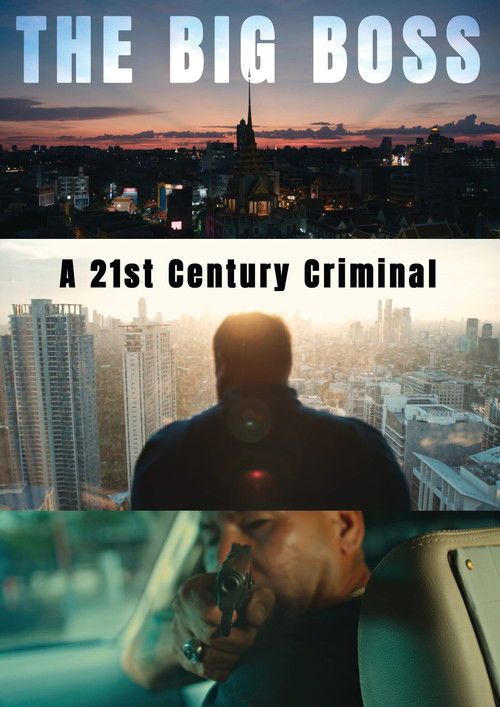 The Big Boss: A 21st Century Criminal