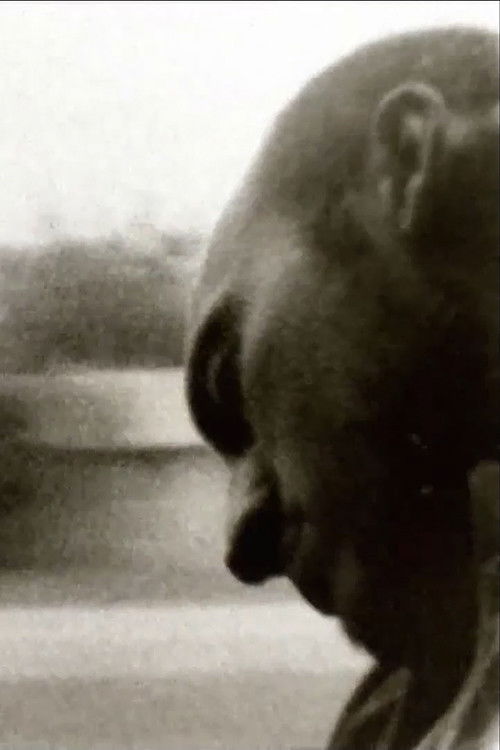 Some Must Watch, While Some Sleep