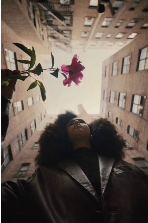 The Young Lordes Collective