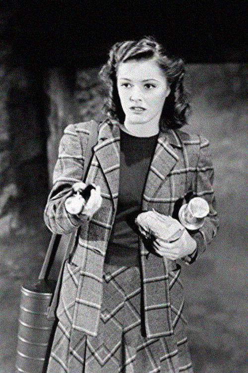 The Mysterious Doctor