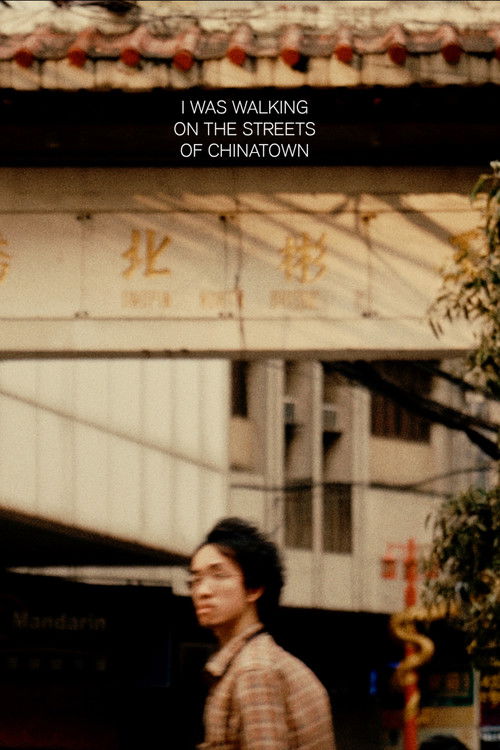 i was walking on the streets of chinatown