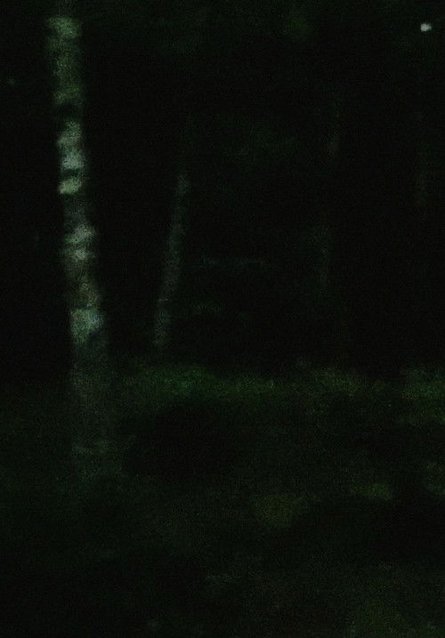 light rain, empty mind