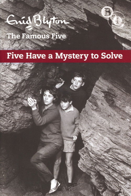 Five Have a Mystery to Solve