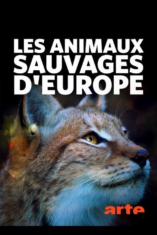 Les Animaux sauvages d'Europe