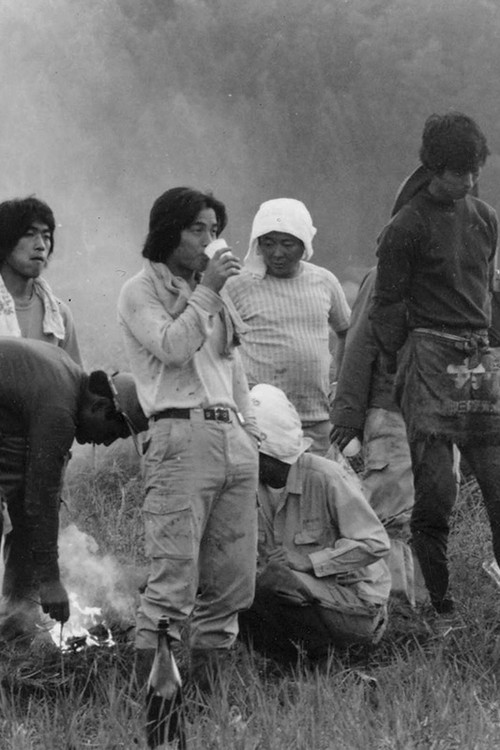 Sanrizuka Notes 3—The March of the Earth