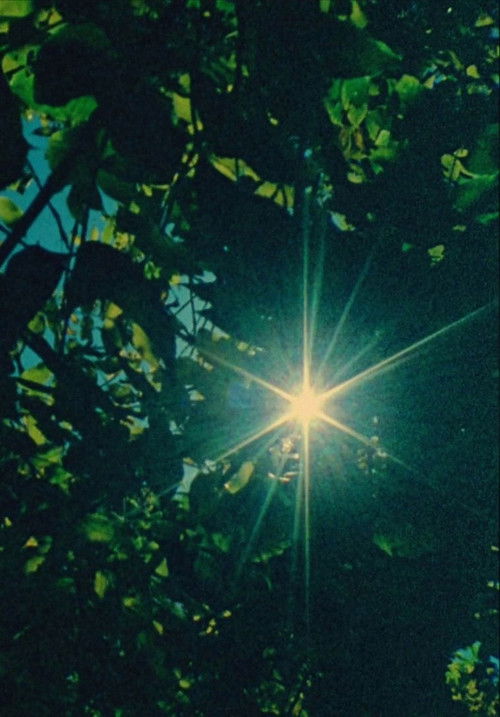 The Cat of the Worm's Green Realm