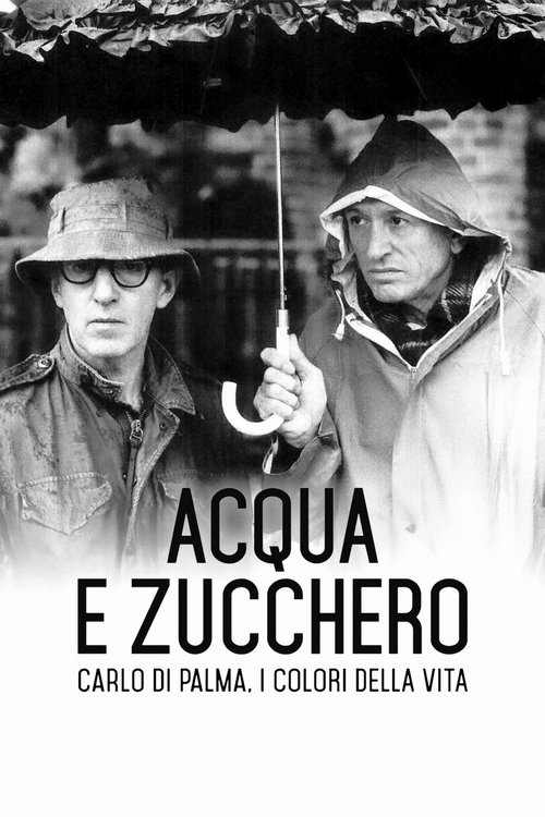 Water and Sugar – Carlo Di Palma: The Colours of Life