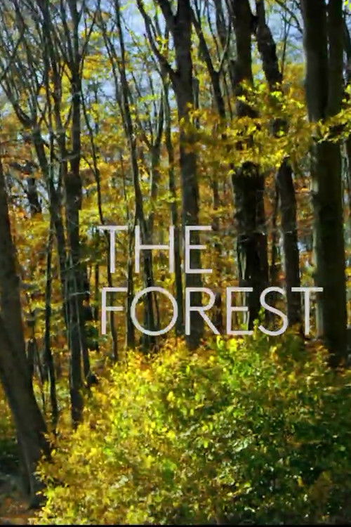 The Forest