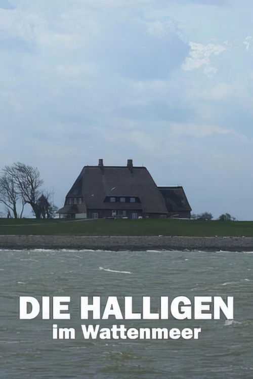 Die Halligen im Wattenmeer