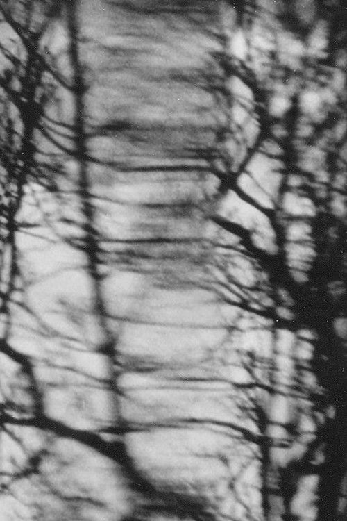 Consolations (Love is an Art of Time)