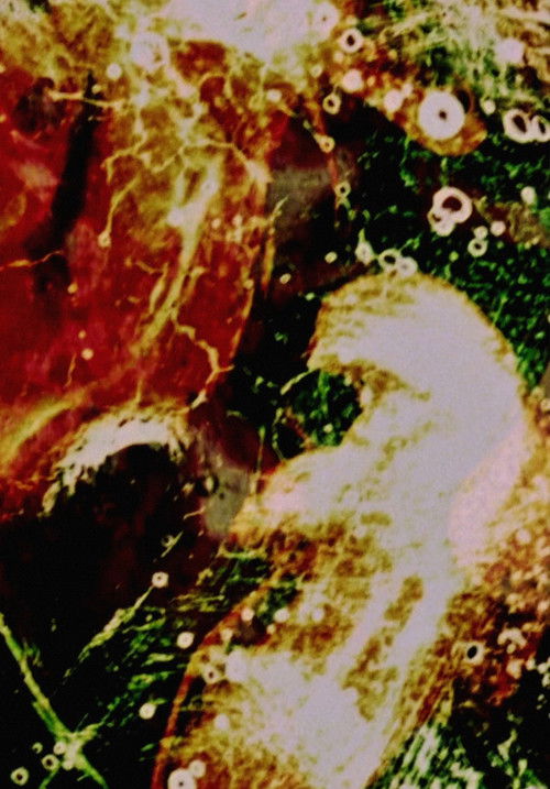 Delicacies of Molten Horror Synapse