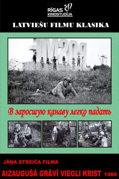 It's Easy to Fall Into an Overgrown Ditch