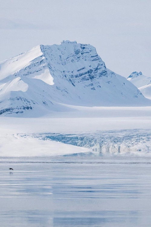 Dans les Glaces de l’Arctique