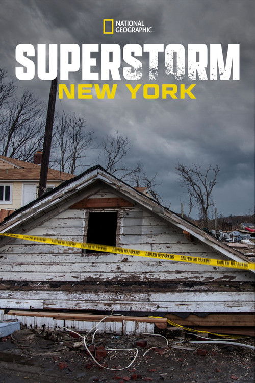 Superstorm New York: What Really Happened