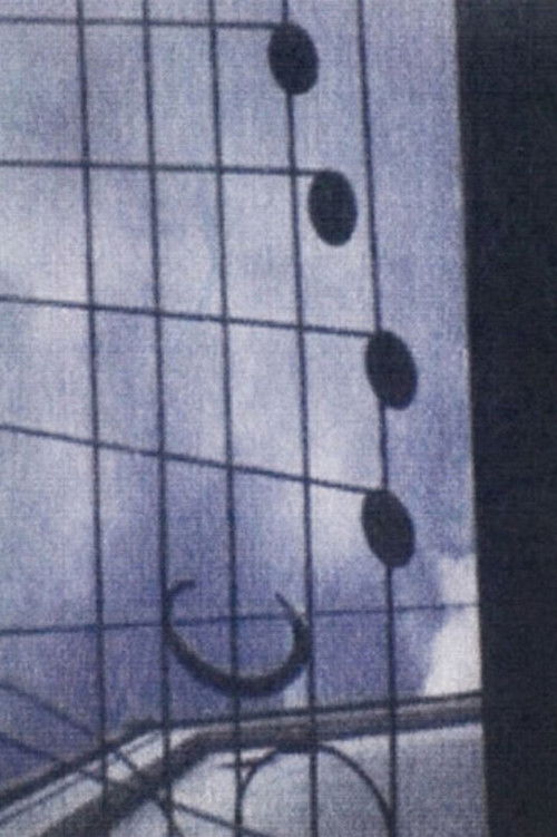 This World (A Correspondence Between Naomi Kawase and Hirokazu Koreeda)