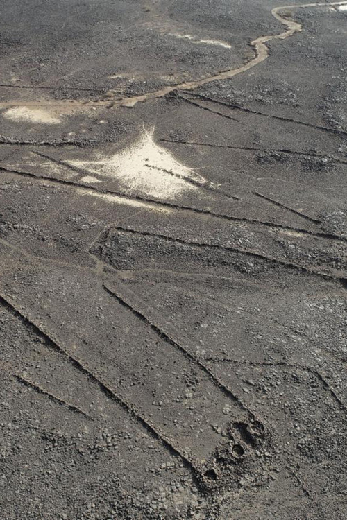 The Mystery of the Desert Kites