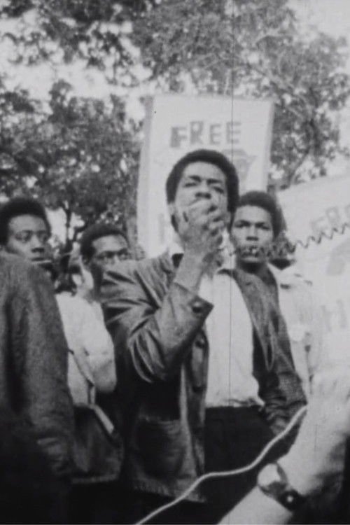 Summer '68 (Newsreel #505)