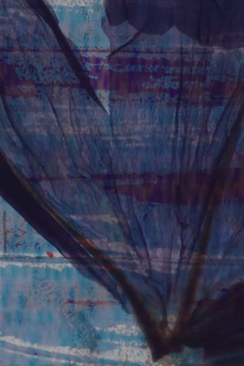 Colours & flowers for scratches