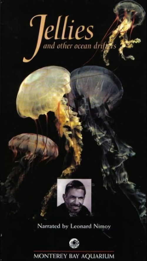 Jellies & Other Ocean Drifters
