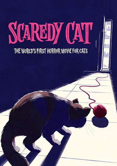 Scaredy Cat