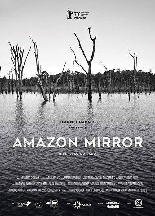 Amazon Mirror