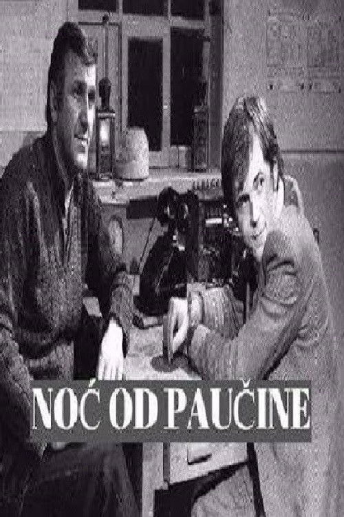 Noć od paučine
