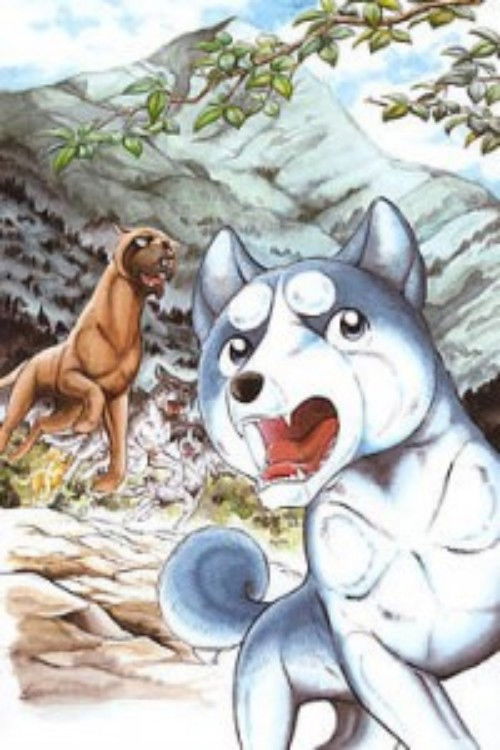 Silver Fang Legend Weed