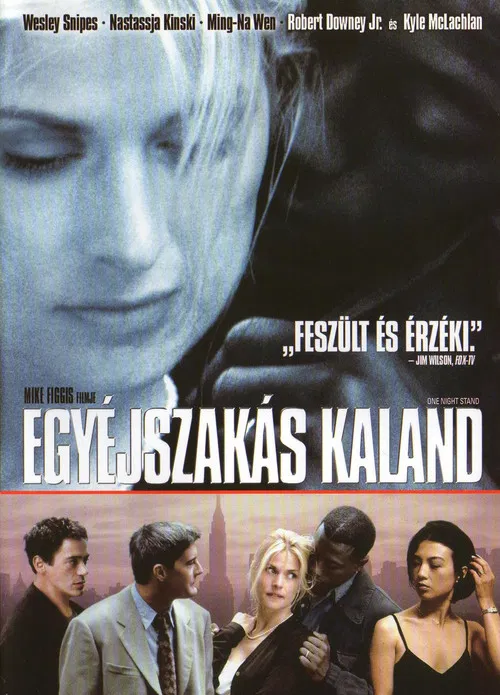 Egyéjszakás kaland