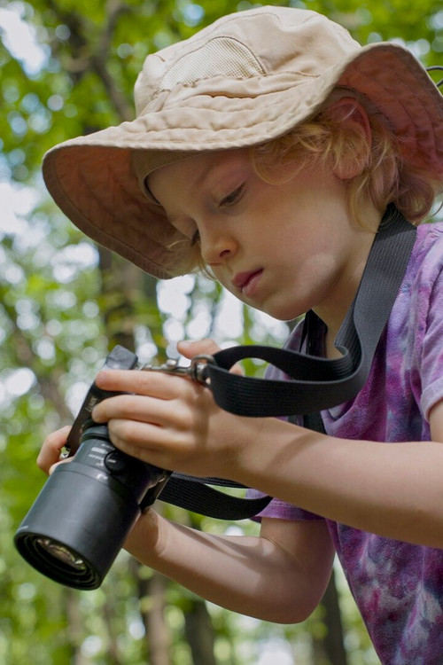 Aldo's Bug Extravaganza