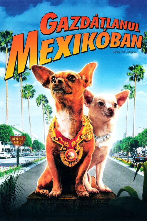 Gazdátlanul Mexikóban