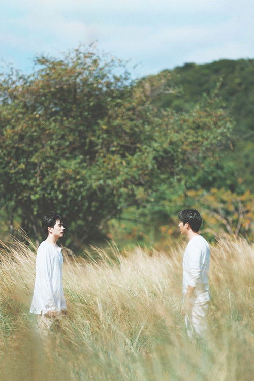 The Miracle of Teddy Bear