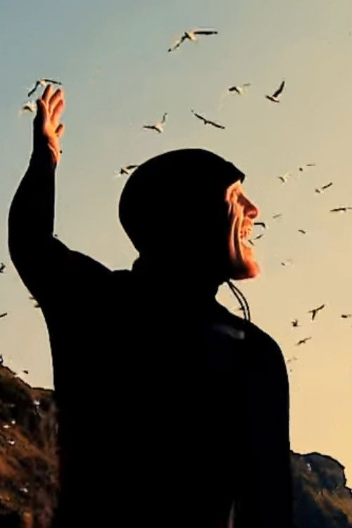 Dark Side Of The Lens