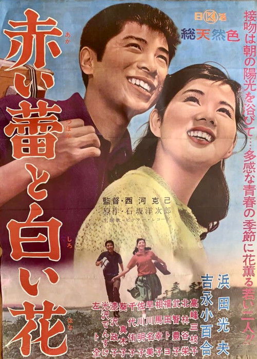 Red Bud and White Flower