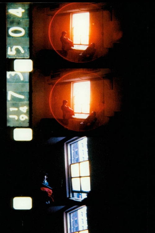 As I Was Moving Ahead, Occasionally I Saw Brief Glimpses of Beauty