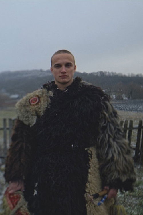 Ashes Settling in Layers on the Surface