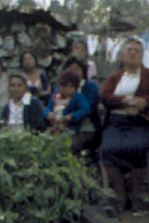 Elvira Luz Cruz, Maximum Sentence